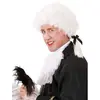 Image de Perruque Mozart - Homme