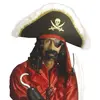 Image de Kit De Moustaches Et Barbe De Pirate