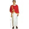 Image de Costume Marc Aurèle Velours - Taille XL