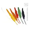 Image de Set De 12 Plumes D'Indien