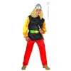 Image de Costume Petit Gaulois - Multicolores - M