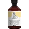 Image de Shampoing Purifiant Naturaltech - Davines