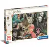 Image de Clementoni HARRY POTTER - Puzzle 300P