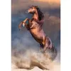 Image de Puzzle 500 pièces : Etalon Rouge Sauvage