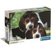 Image de Clementoni Close Together (500 pièces)