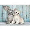 Image de Puzzle 500 pièces + poster : Chat et Lapin Clementoni
