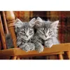 Image de Puzzle Compact 500 pièces : Chatons
