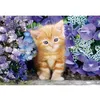 Image de Puzzle Compact 500 pièces : Le Chat Roux
