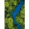 Image de Puzzle Compact 500 pièces : Vue Aérienne Tropicale