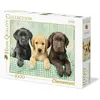 Image de Clementoni Trois labradors (1000 pièces)