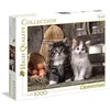 Image de Clementoni Kittens 1000 pièces de puzzle belle