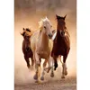 Image de Puzzle 1000 pièces Cheval