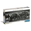 Image de Puzzle panorama La horde d'éléphants N&B 1000 pièces