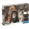 Image de Clementoni Lovely Kittens - 1000 pièces (1000 pièces)