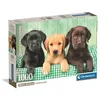 Image de Puzzle Trois labradors 1000 pièces