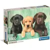 Image de Clementoni Three Labs - 1000 pièces (1000 pièces)