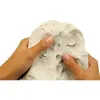 Image de CLEMENTONI Createur de talents - Recharge DArgile 1Kg - Loisirs creatifs