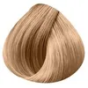 Image de Colorations d'oxydation avec ammoniaque, 10/31 : blond très très clair doré cendré, 60ml, wella, femme