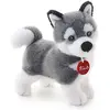 Image de Trudi Husky Marcus (24 cm)