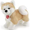 Image de peluche chien Akita Ascanio