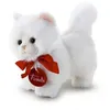 Image de Trudi Cuddle Cat Classique 15 cm blanc