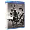 Image de Le Gaucho Blu-ray