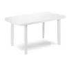 Image de Table Ovale en résine blanche FAR036BI