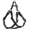 Image de Ferplast Daytona harnais pour chien - L (L, Chien, Général), Collier + laisse