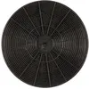 Image de Filtre 2 en 1 anti-odeurs et antibactériens Wpro FAC509/1