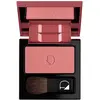 Image de Diego dalla Palma, Fard à joues, Powder Blush No 21 (21)