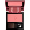 Image de Diego dalla Palma, Fard à joues, Powder Blush No 24 (24)