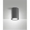Image de Fabas Luce, Plafonnier, MANU DARK GREY E27 Deckenleuchte Dunkel Grau 6565-61-294 (E27)