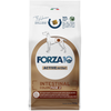 Image de 10kg Forza 10 Active Line Intestinal Colon Phase 2 nourriture pour chien sèche
