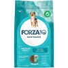 Image de Forza 10 Maintenance Medium, poisson pour chien - 12 kg