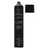 Image de HD Lifestyle Laque Tenue Extreme 500 ml