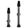 Image de Vittoria Soupapes Tubeless 2 Unités 60 mm