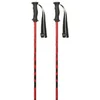 Image de Masters Bâtons Carbon Rtl