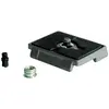 Image de Manfrotto Mn 200pl (Plateau à dégagement rapide), Trépied : accessoires, Gris, Noir