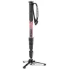 Image de Manfrotto Monopode Mvmelmiia4