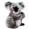 Image de Koline - Peluche de Koala - 22 cm
