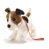 Image de Peluche chien Jack Russel Milo