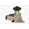 Image de Pompe À Eau Metelli 24-0243