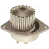 Image de Pompe À Eau Metelli 24-0491