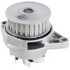 Image de Pompe À Eau Metelli 24-0603