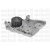 Image de Pompe À Eau Metelli 24-0783