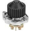 Image de Pompe À Eau Metelli 24-0886