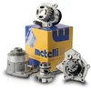 Image de Pompe À Eau Metelli 24-0980