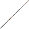 Image de Fishing Ferrari Canne Bolognaise Talis Trout Tele 2