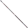 Image de Colmic Canne Bolognaise Fiume S31 Fuji Alconite