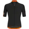 Image de Santini Maillot manches courtes Colore Puro